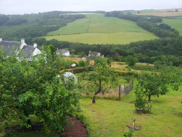 Signs of orchard revival in the Fruit Basket of Scotland