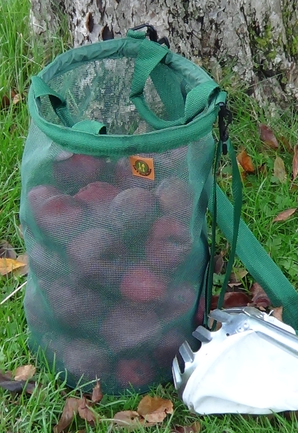 Police Scotland Advice for ‘Raids’ on Community Orchard Crops